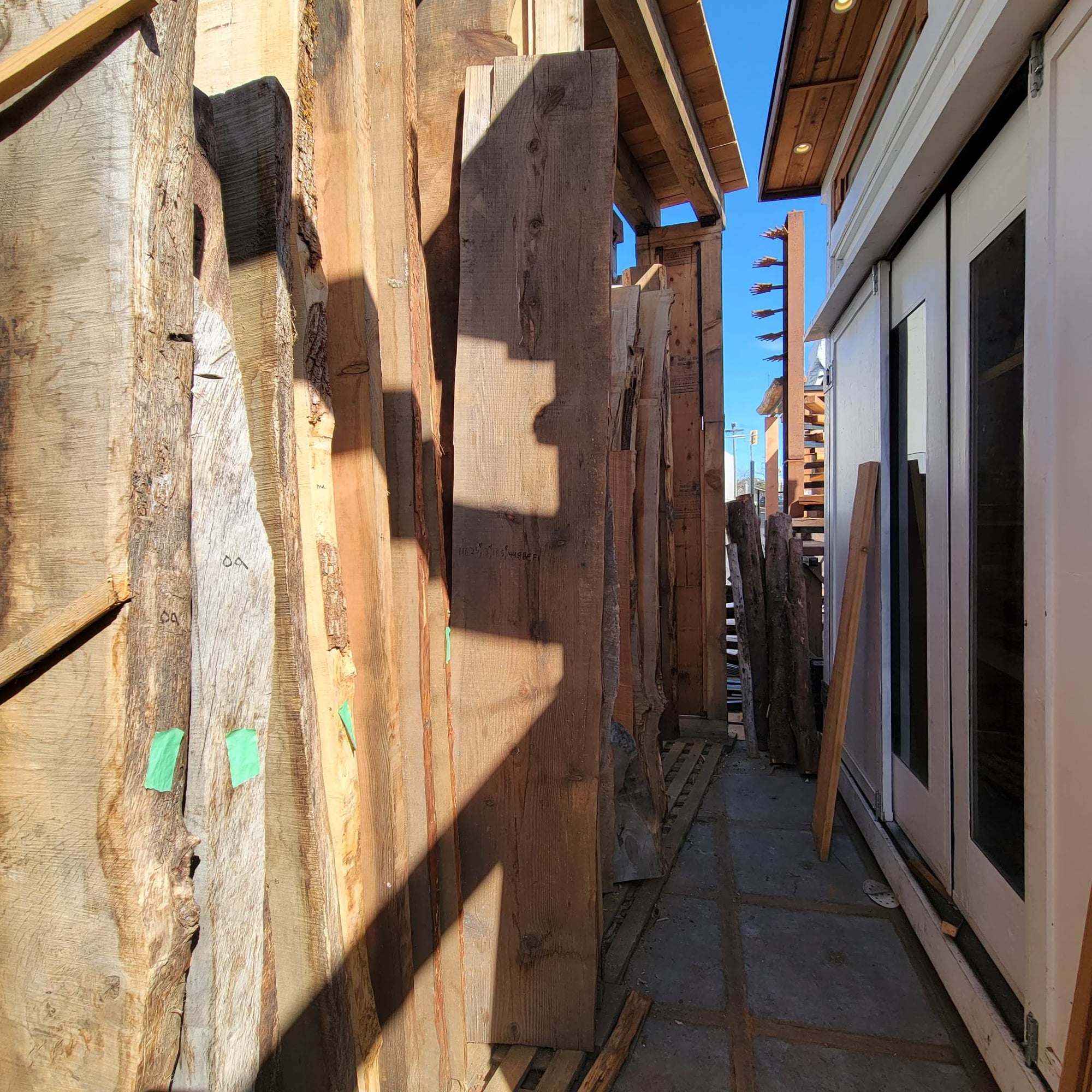 Douglas Fir